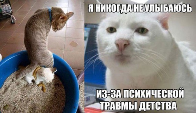 Аморальная деградация