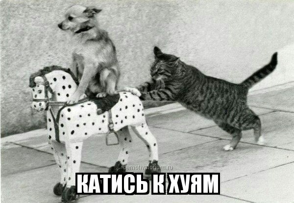 А их тоже стали ненавидеть?