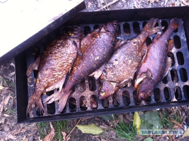 Открытая вода