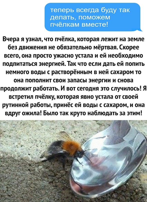Немного картинок для настроения - 127