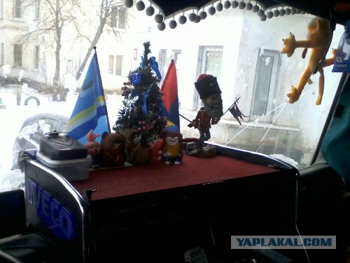Показываем свои деревья