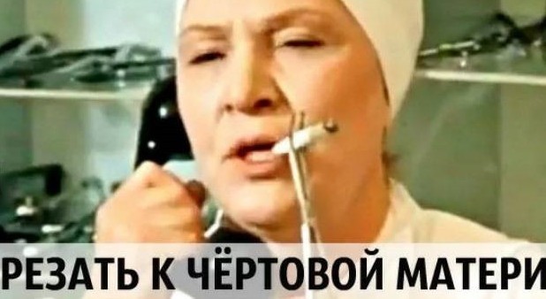 Котенок залез на турецкого мэра и сорвал встречу с избирателями