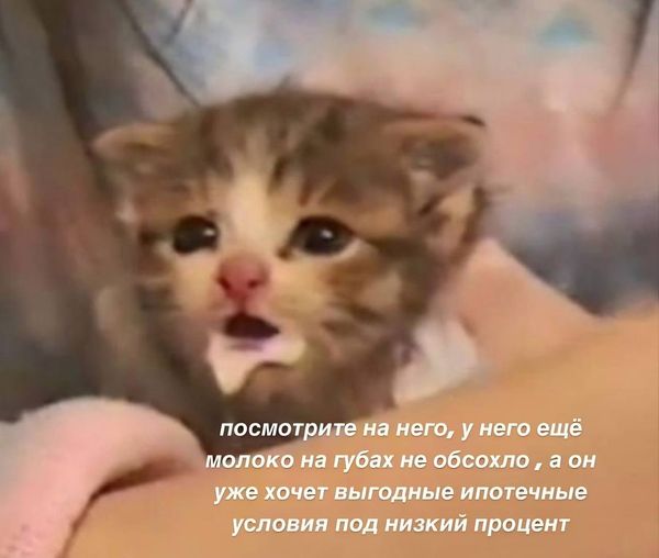 LOLтиночки