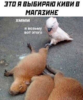 Сборник бабаянов и т.д. и т.п.