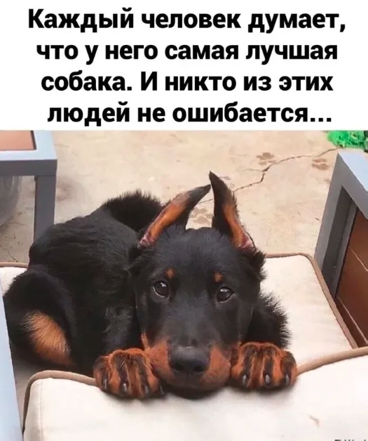 Картинки разные с надписями и без