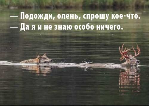 Завалялось тут случайно немного забавных картинок