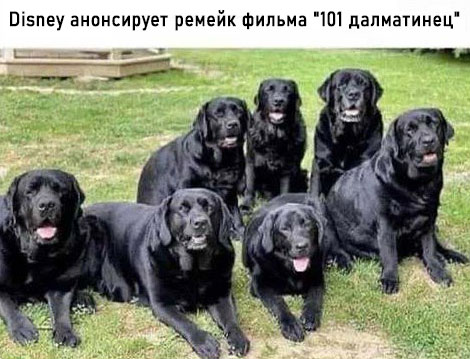 Завалялось тут случайно немного забавных картинок