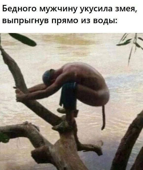 Утро баяном не испортишь