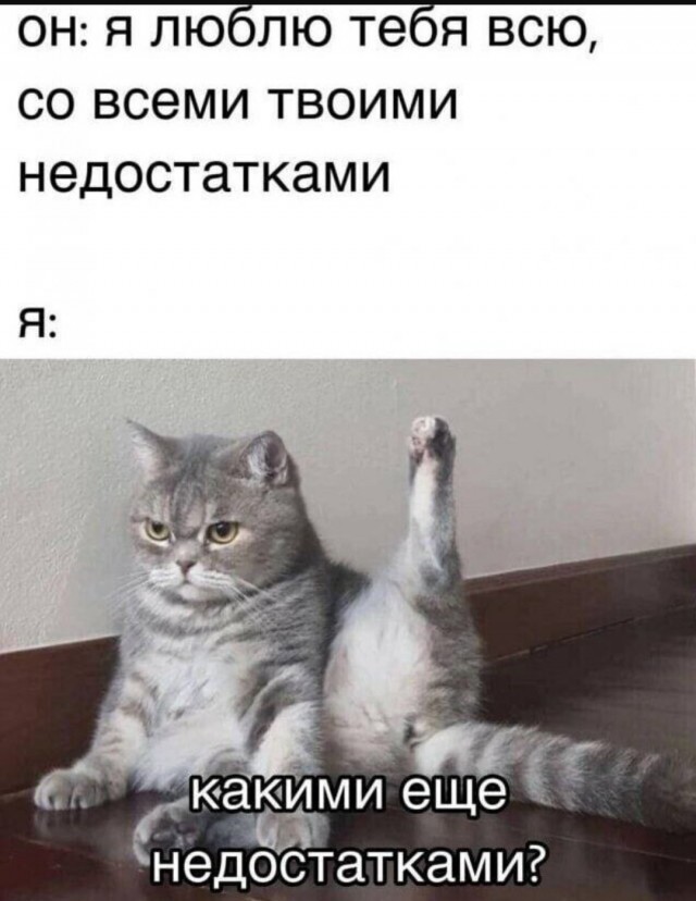 К котовторнику: подборка картинок-баянов с котиками и про котиков. Выпуск 13