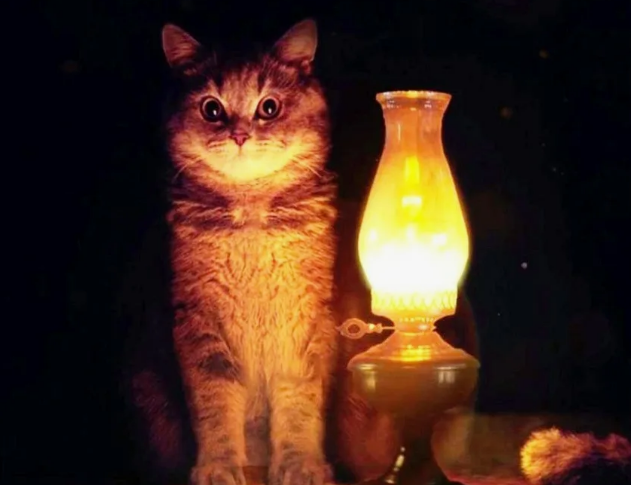 "Благодарность" от "покупателя"(