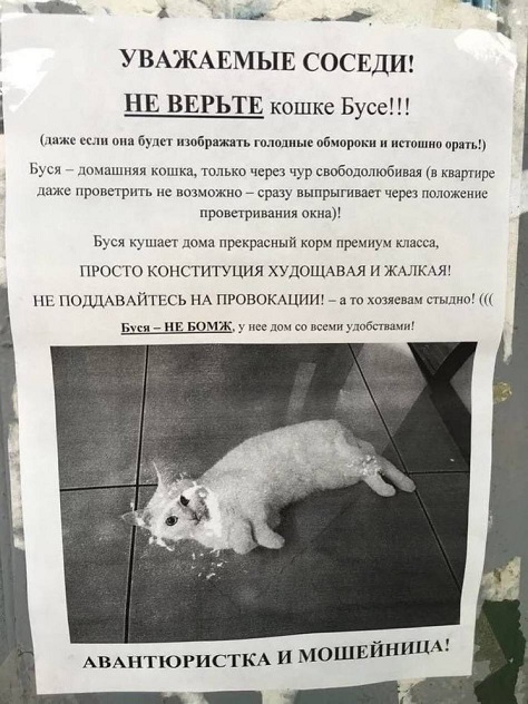 Спустя два стакана