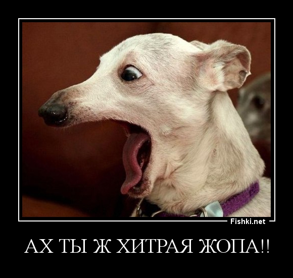 На концертах Астрид поёт публика