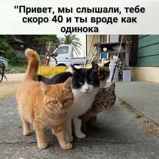 Четверговые картинки