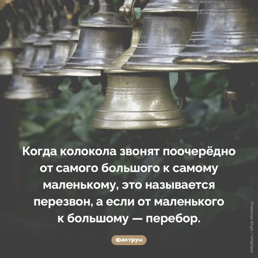 Воскресные картинки