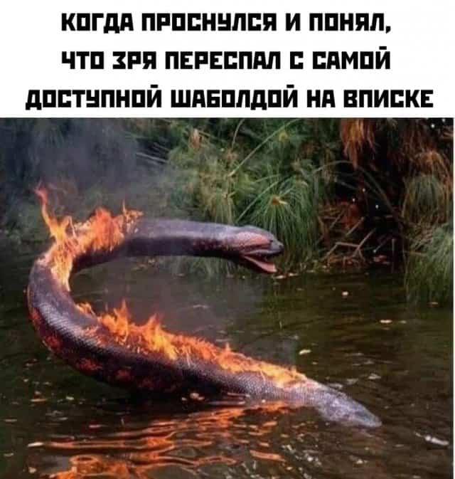 Картинки для деградации 137 (разной степени свежести)