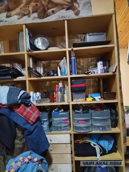 Поперло на столярку