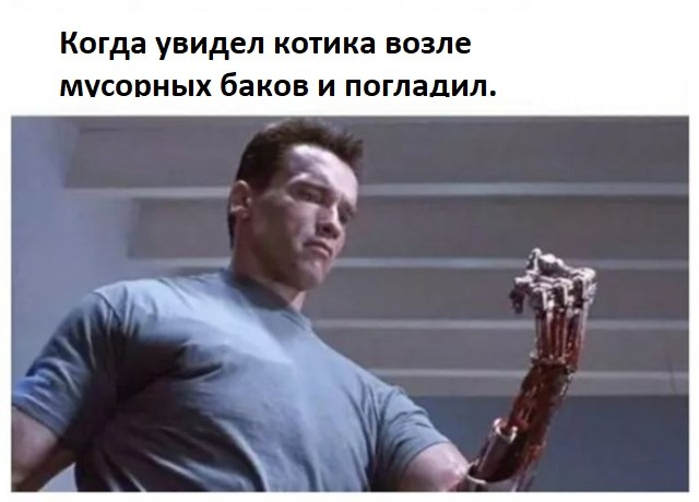 Картинки для деградации 221 (разной степени свежести)