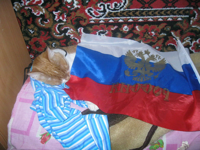 Котовторник на 24.09.2013г