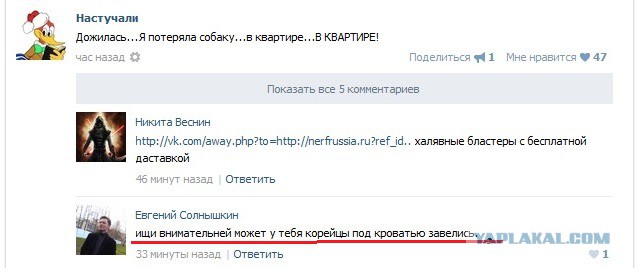 Смешные комментарии из социальных сетей