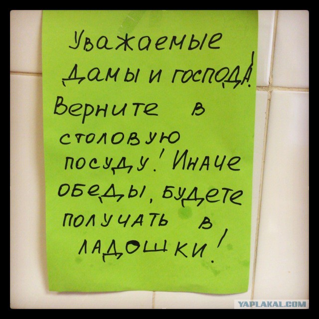 Просто забавные фотки из мобильника