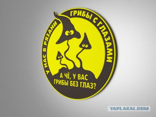 Охота на лисичек.