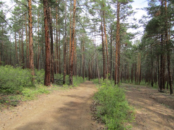 Путешествие на Байкал