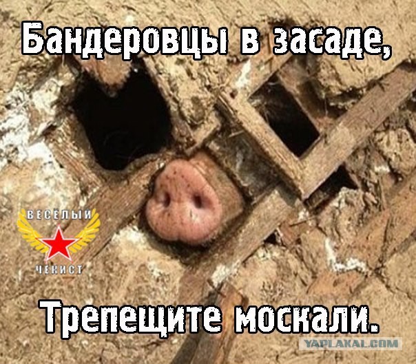 Кризис в Украине глазами карикатуристов