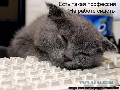 Коварный работун