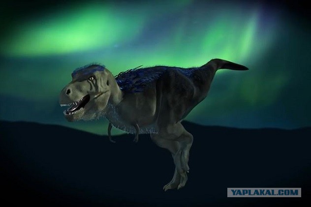 Удивительные открытия в палеонтологии