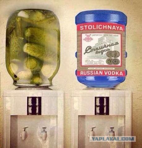 Смешные картинки