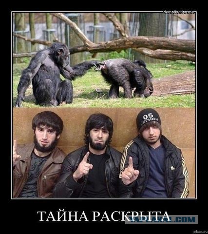 Горячие демотиваторы