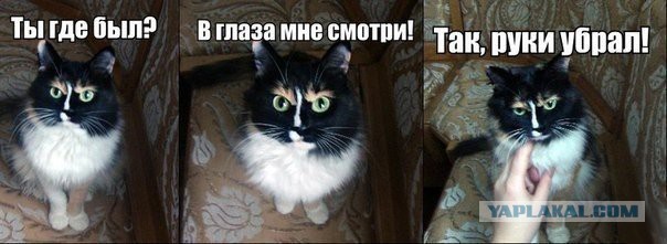 Моя подборка веселенькой мути