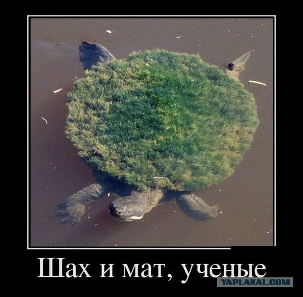 Конечна или бесконечна Вселенная?
