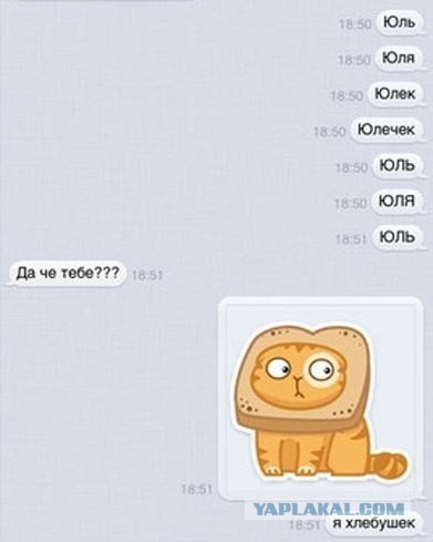 Прикольные картинки из сети