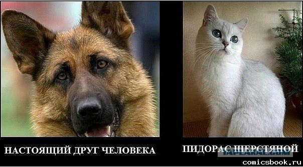 Всех с любимым четвергом! Бабаки-Барабаки!