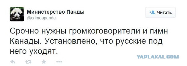 Пятничные картинки