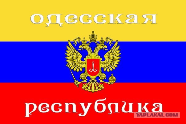 Одесситы троллят мишу