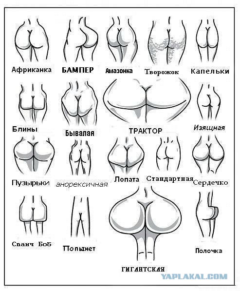 Весёлости в картинках
