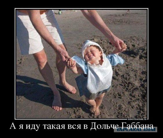 Мешанина прикольных картинок из сети