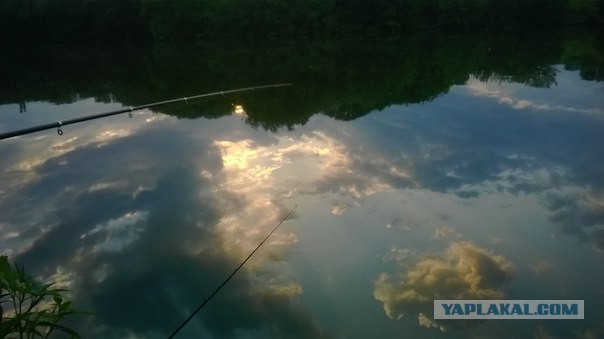Всех С Днем Рыбака