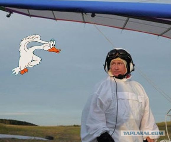 Вкратце новости последней недели