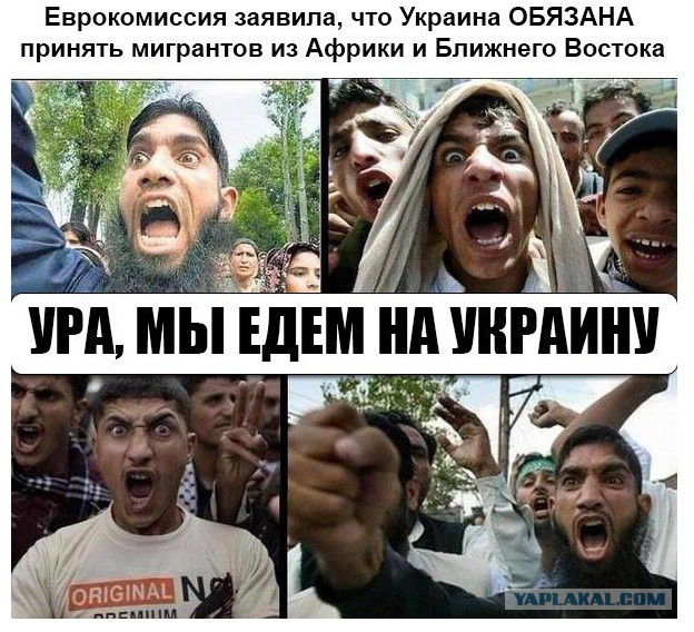 Сирийские беженцы жалуются на недостаток секса