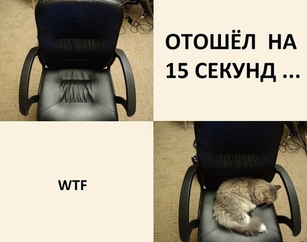Немного картинок и демотиваторов