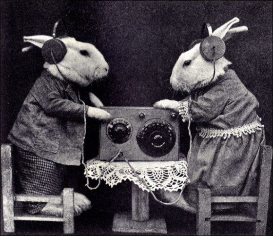 Странные старинные фотки