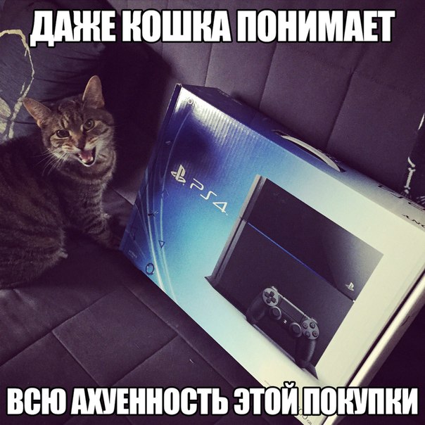 Картинки и демотиваторы
