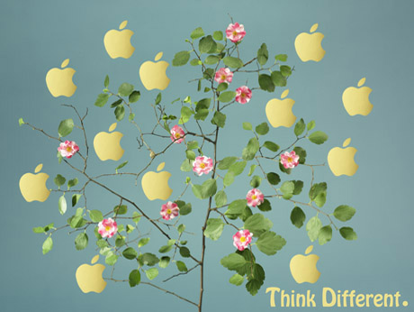 Apple, всё о Маках