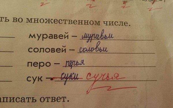 Абсурдный юмор ч.16