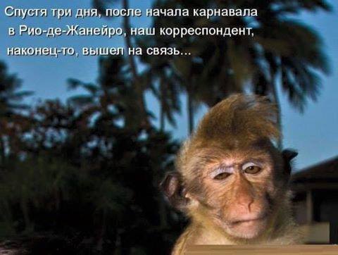 Смешные картинки