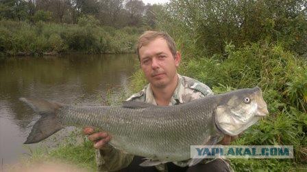 "Поймал мужик рыбку"