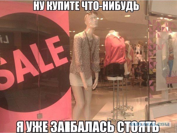 Весёлые картинки